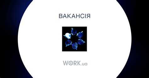 ищу работу винница|Робота в Вінниці. Вакансії в Вінниці на Jobs.ua!